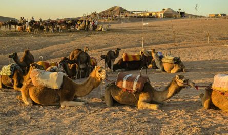 Les plus beaux circuits en Algérie pour un voyage authentique et sécurisé