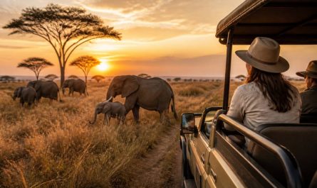 Safari Kenya : le guide complet pour vivre une aventure authentique avec Hors Pistes