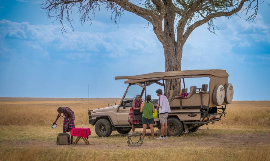 Hors piste tanzanie : vivre une aventure authentique loin des itinéraires standardisés